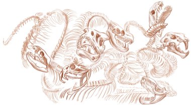 Efsanevi hayvanlar ve canavarlar: Hydra