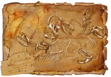 Efsanevi hayvanlar ve canavarlar: Hydra