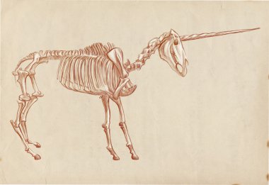 efsanevi hayvanlar ve canavarlar: Unicorn