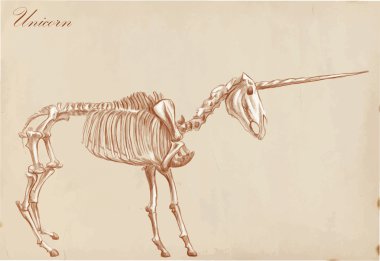 Bir el çizilmiş vektör: Unicorn