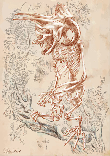 Вектор ручной работы: BIFOOT (Yeti
)