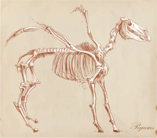 Un vector dibujado a mano: Pegasus — Archivo Imágenes Vectoriales