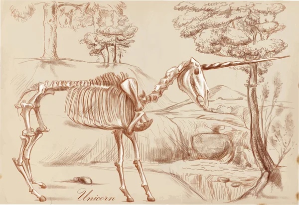 Un vector dibujado a mano: Unicornio — Archivo Imágenes Vectoriales