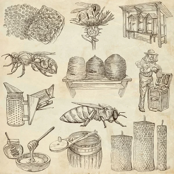 Včely včelařství a med - ručně tažené ilustrace — Stock fotografie