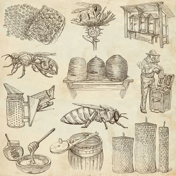 Abeilles, apiculture et miel - illustrations dessinées à la main — Photo