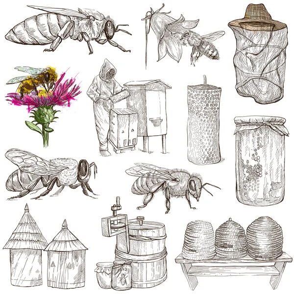 ミツバチは、養蜂とハチミツ - 手描き下ろしイラスト — ストック写真