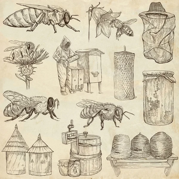 Bees, beekeeping and honey - hand drawn illustrations — Stock Photo, Image