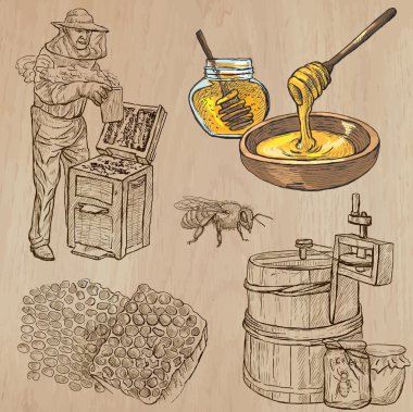 Arı, arıcılık ve bal - çizilmiş vektör paketi 5 el
