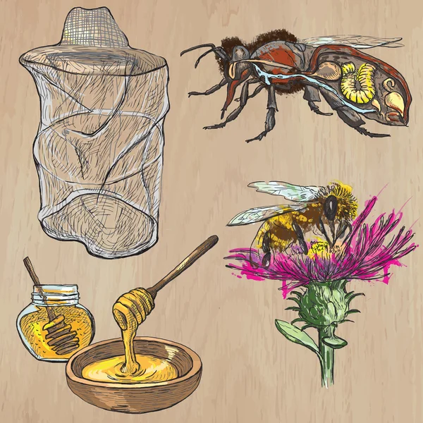 Abeilles, apiculture et miel - paquet vectoriel tiré à la main 1 — Image vectorielle