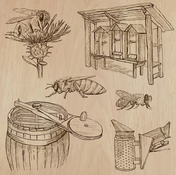 Včely včelařství a med - ručně kreslenou vektorové pack 7 — Stockový vektor