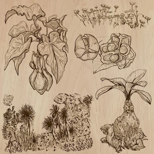 Fleurs, arbres, plantes - Pack vectoriel dessiné à la main — Image vectorielle