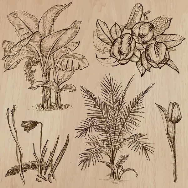 Fleurs, arbres, plantes - Pack vectoriel dessiné à la main — Image vectorielle