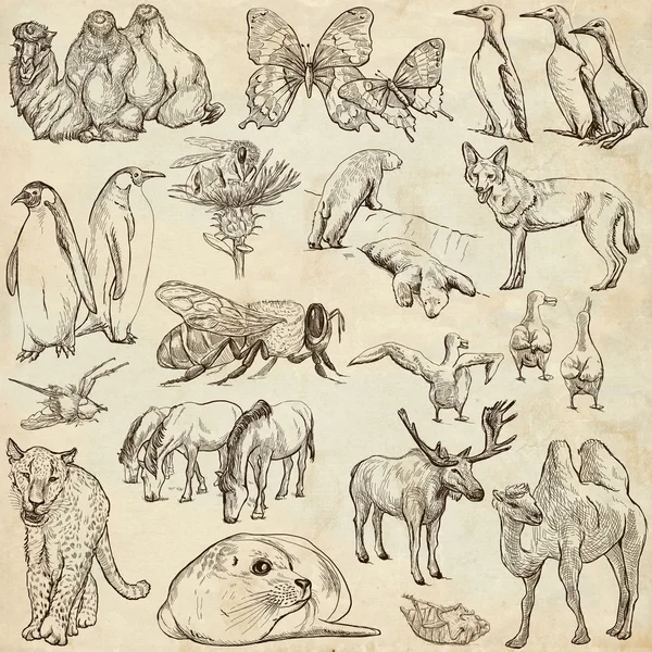 Animaux - Croquis à main levée sur vieux papier — Photo