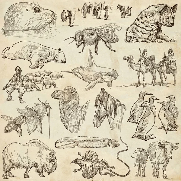 Animales - Bocetos a mano alzada sobre papel viejo — Foto de Stock