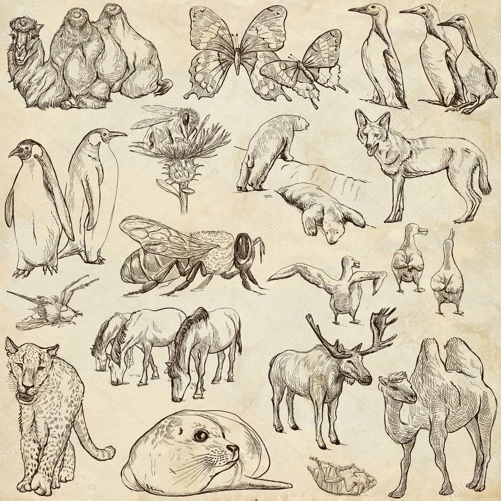 Animals - Freehand sketches on old paper Stock Photo by ©kuco 72537567