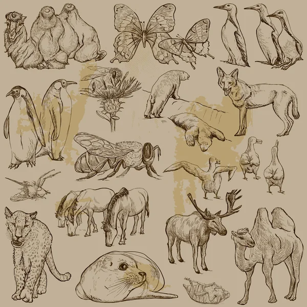 Animales - Paquete vectorial dibujado a mano — Archivo Imágenes Vectoriales