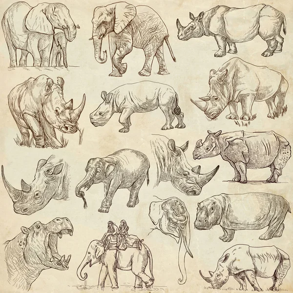 Animali pesanti. Pacchetto disegnato a mano su carta. Mani libere . — Foto Stock