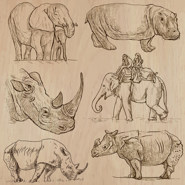 heavy animals - vector pack, hand drawings