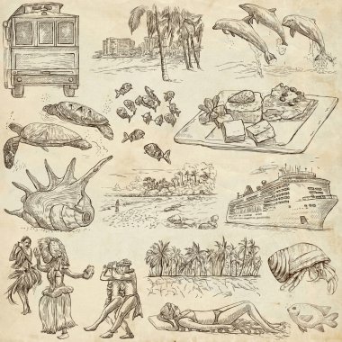 Hawaii - Full sized hand drawn illustrations on old paper
