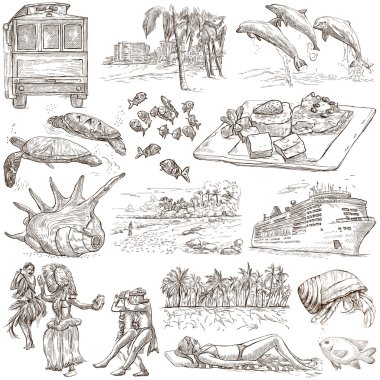 Hawaii - Full sized hand drawn illustrations on white