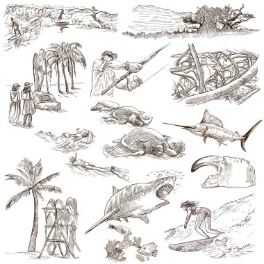 Hawaii - Full sized hand drawn illustrations on white