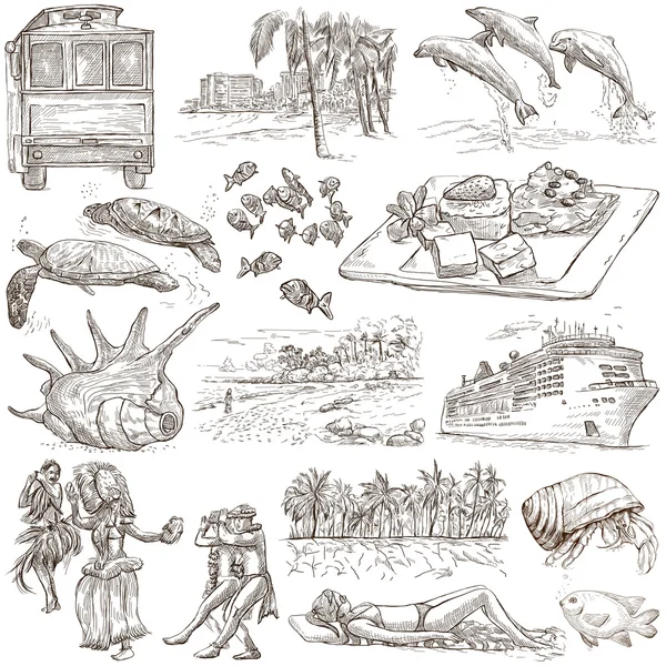 Hawaii - Full sized hand drawn illustrations on white — Stockfoto