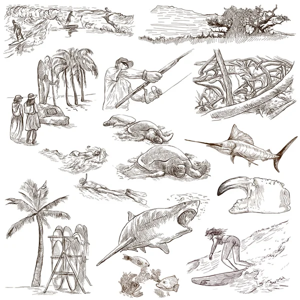 Hawaii - Full sized hand drawn illustrations on white — 图库照片