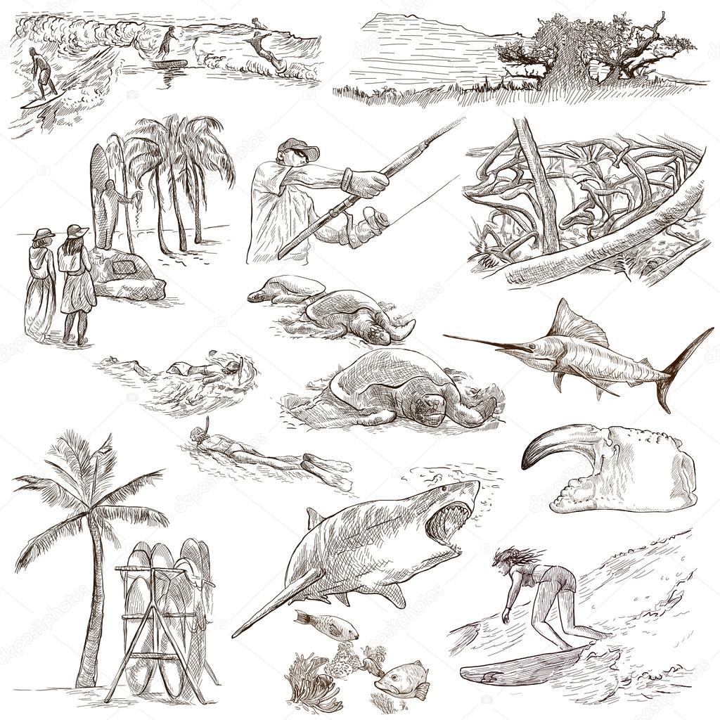 Hawaii - Full sized hand drawn illustrations on white