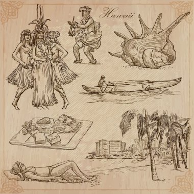 Hawaii - Travel. An hand drawn vectors.