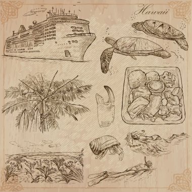Hawaii - Travel. An hand drawn vectors.