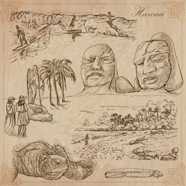 Hawaii - Travel. An hand drawn vectors.