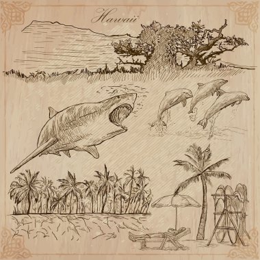 Hawaii - Travel. An hand drawn vectors.