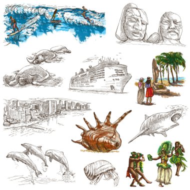 Hawaii - Full sized hand drawn illustrations on white