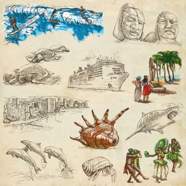 Hawaii - Full sized hand drawn illustrations on paper