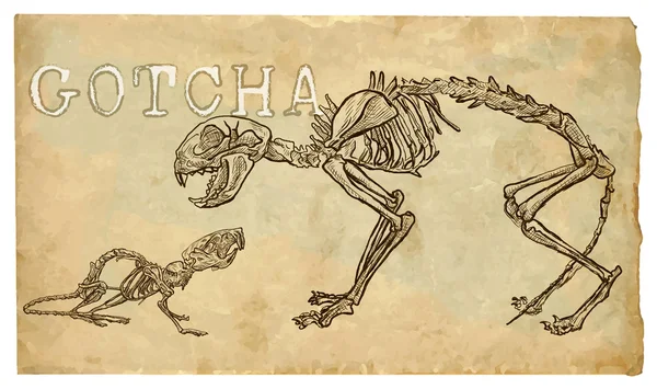 Gato y ratón, esqueletos - vector a mano alzada — Archivo Imágenes Vectoriales