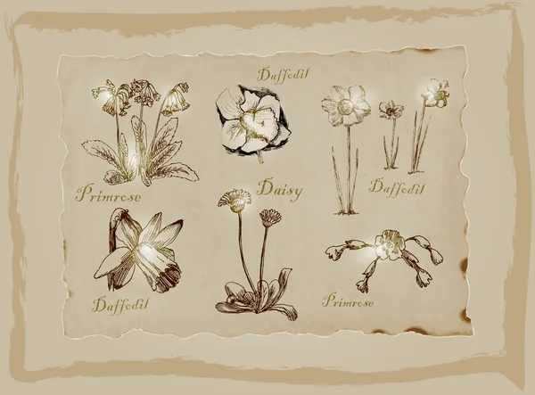 Fleurs et fleurs - Un sac dessiné à la main. Dessin à main levée . — Image vectorielle
