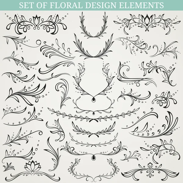 Collection d'éléments de design floral. Illustration vectorielle . — Image vectorielle