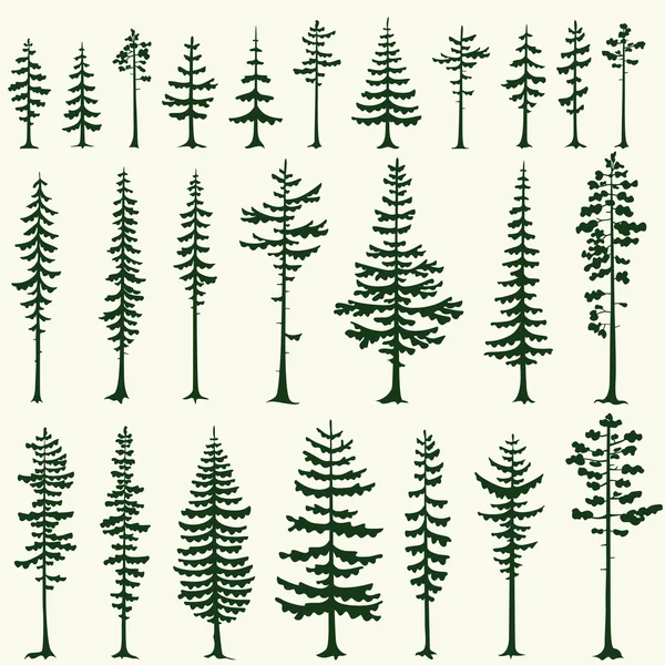 Set of stylized pine silhouettes. Vector illustration. — Stock Vector