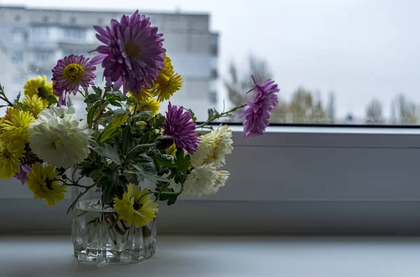 Chrysanthemums white yellow pink in a glass on the window sill by the window close up — Stock Photo, Image