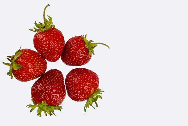 Fraises sur fond blanc copie espace — Photo