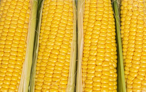 Cob Corn Yellow Natural Texture Closeup — Stock Photo, Image