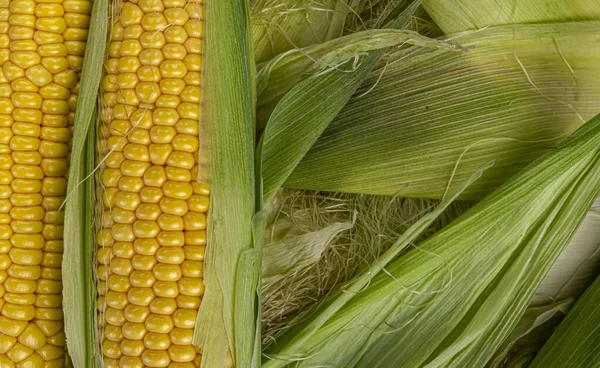 Maiskolben Auf Grünen Blättern Organische Textur Nahaufnahme — Stockfoto