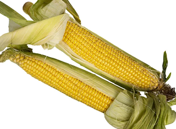 Cob Corn Υφή Λευκό Φόντο Closeup — Φωτογραφία Αρχείου