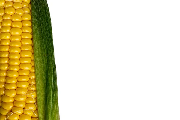 Cob Kukorica Textúra Fehér Háttér Közelkép — Stock Fotó