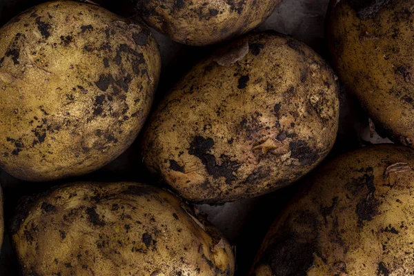 Potato Tubers Soiled Earth View Top Close — Stock Photo, Image