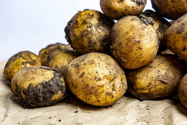 Potato Tubers Soiled Earth View Top Close — Stock Photo, Image