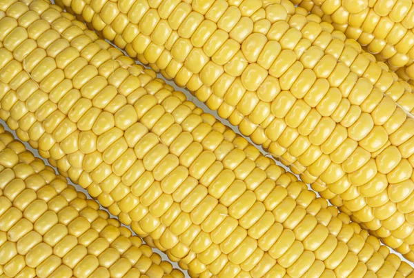 Cob Corn Yellow Natural Texture Close — Stock Photo, Image