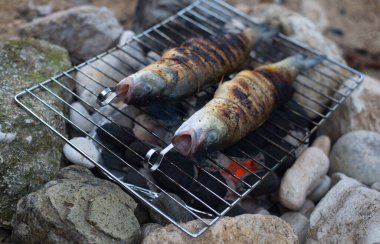 Açık havada balık pişirmek. Levrek. Doğada kamp yapmak..