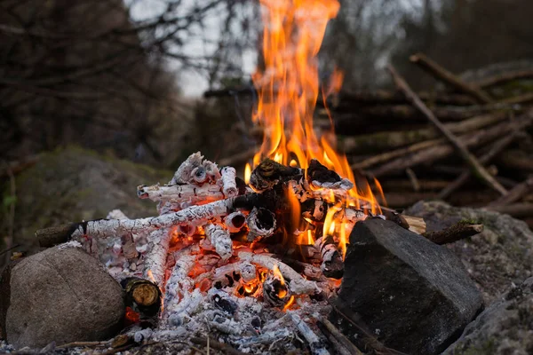 Camp Freien Mit Feuer — Stockfoto