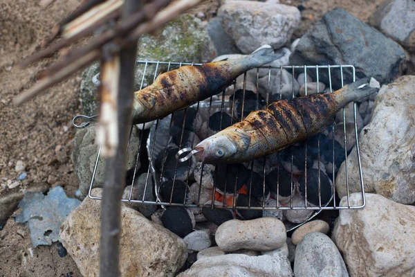 Vissen Koken Open Lucht Zeebaars Kamperen Natuur — Stockfoto